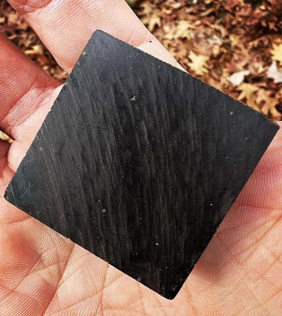 African Blackwood Ring - MENLL