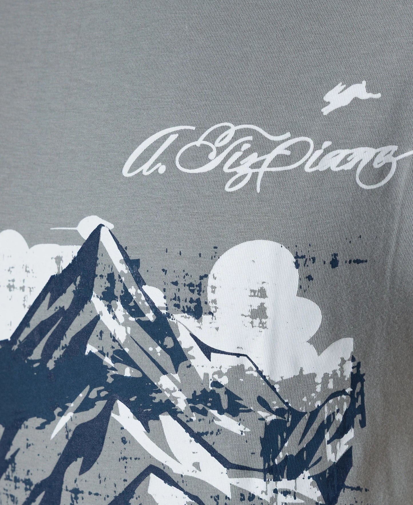Men's Graphic Tee - Angel Mountain Print - Gray A.Tiziano