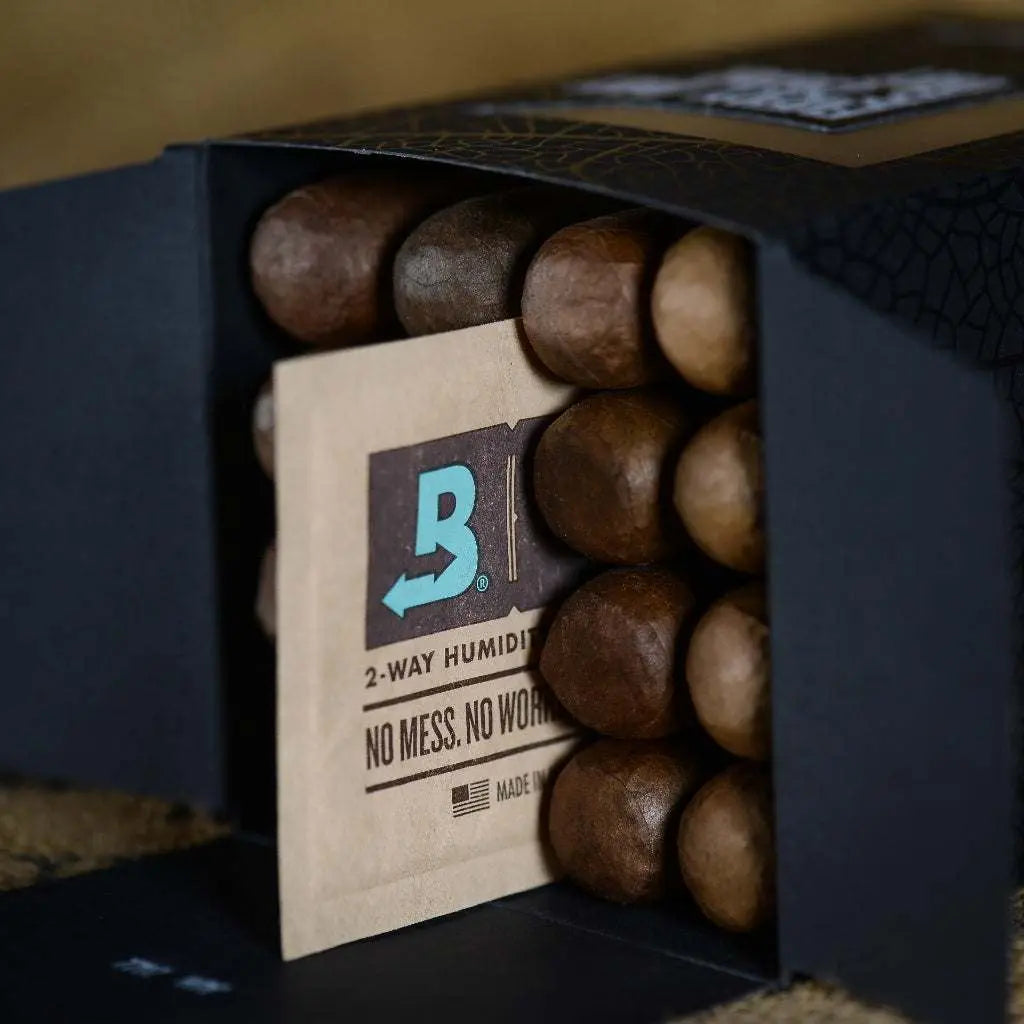 Every Day Is Cigar Day Gordo 6x60 Connecticut Mild Cigar Box of 16 Premium Tobacco by Every Day Is Cigar Day