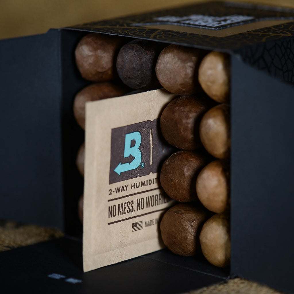 4¼x64 CHONK Connecticut - Box of 16 - MENLL