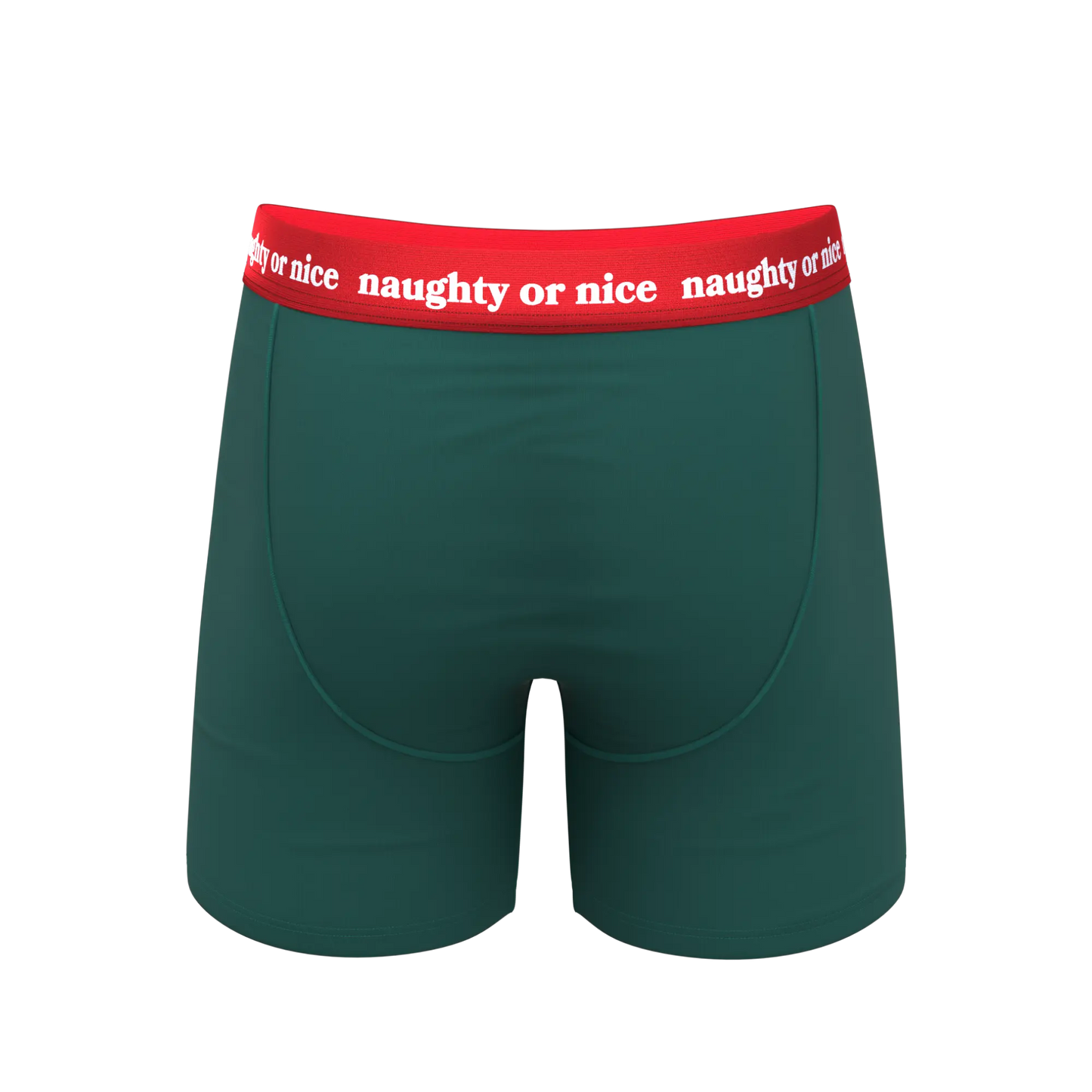 The Nice List | Flirty Waistband Ball Hammock® Pouch Underwear With Fly Shinesty