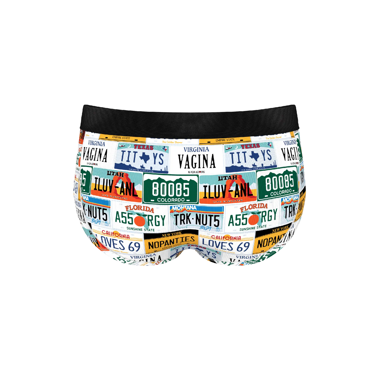 The DMV Catastrophe | License Plates Ball Hammock® Pouch Underwear Briefs - MENLL