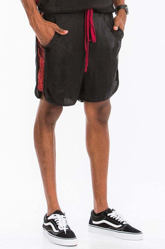 Metallic Flick Shorts with elastic waist, colored drawstring, standard pockets, and side metallic stripe.