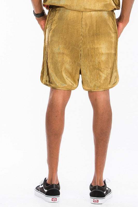Metallic flick shorts with elastic waist, colored drawstring, and side metallic stripe.