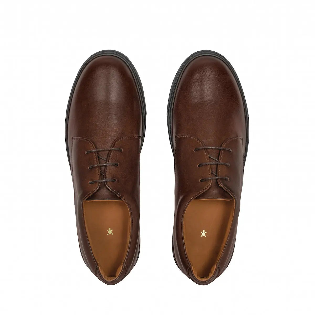 Women's Dafne - Brown by MOCALMO