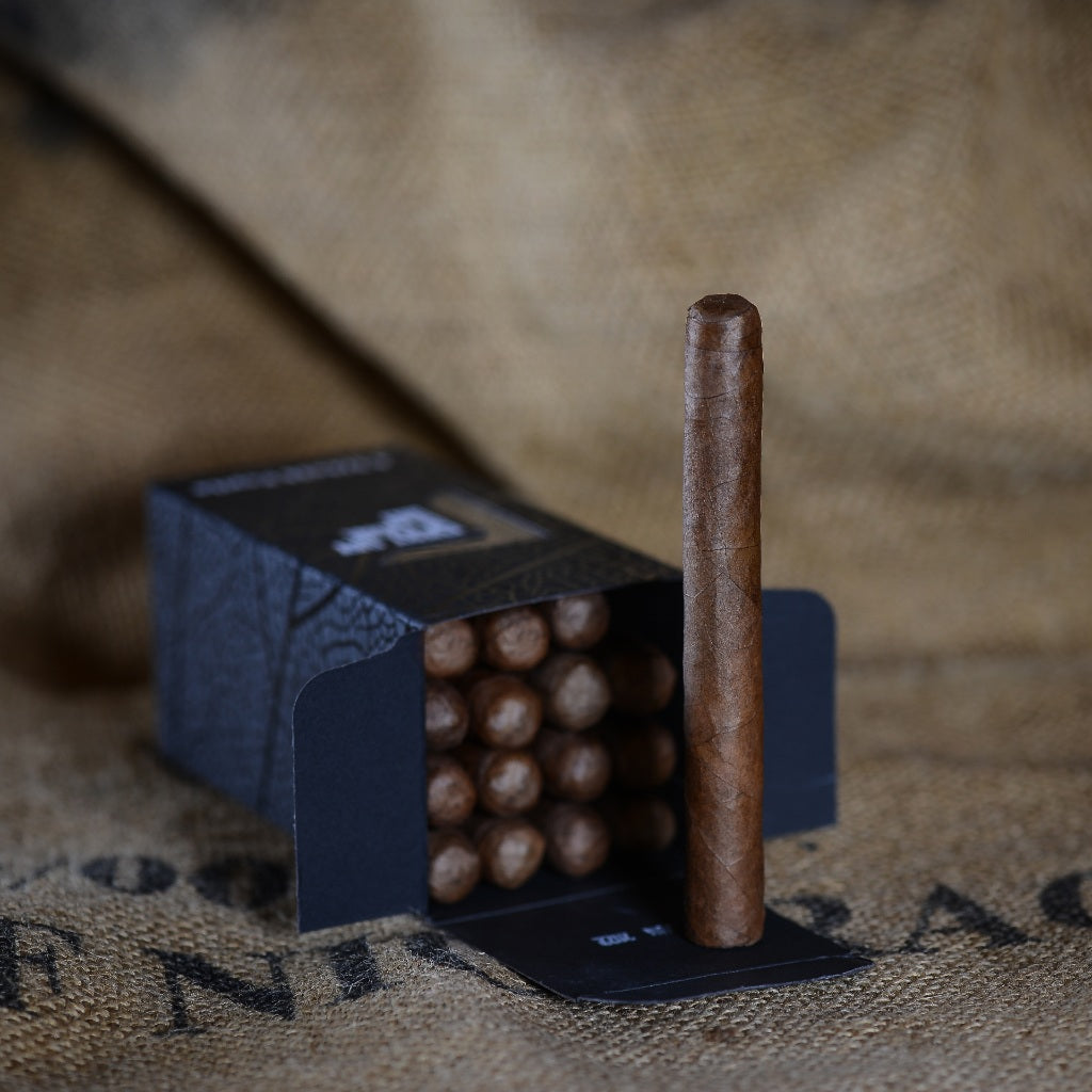 Box of 16 4¾x36 PAPITO Habano cigars with premium Ecuadorian Habano wrapper displayed on a textured surface.