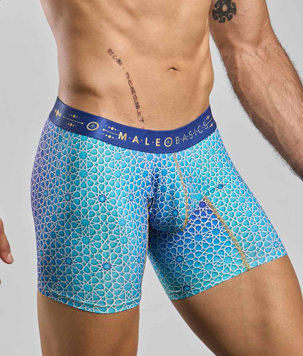 MaleBasics Boxer Brief Hipster Malebasics