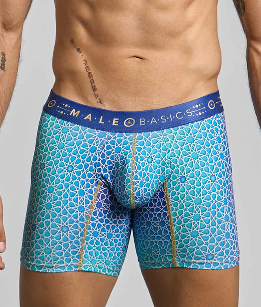 MaleBasics Boxer Brief Hipster Malebasics