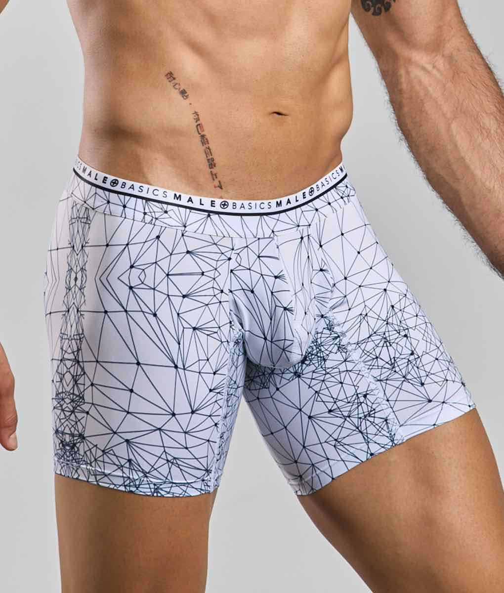 Malebasics New Hipster Boxer Brief Spider Malebasics