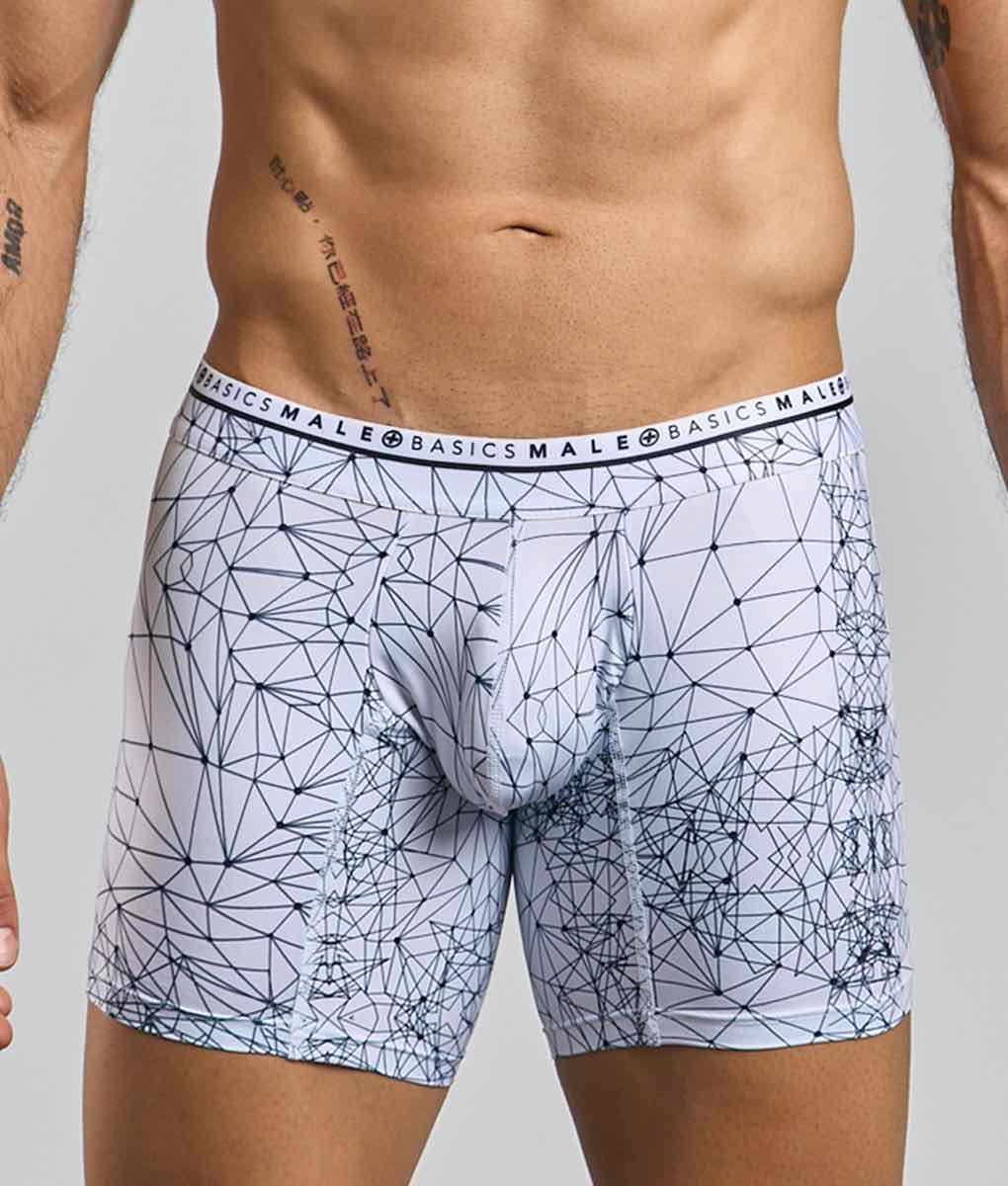Malebasics New Hipster Boxer Brief Spider Malebasics