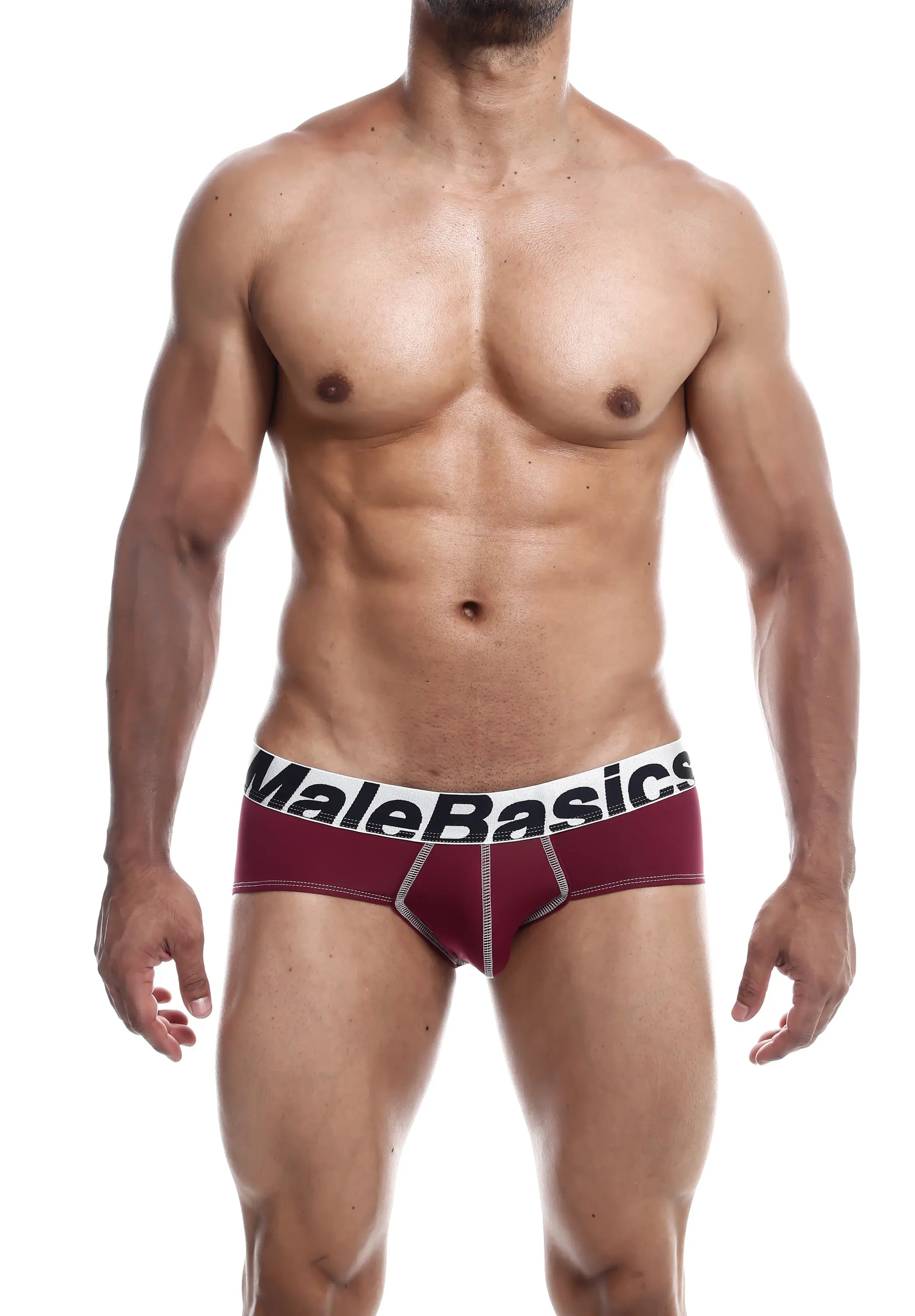 MaleBasics Microfiber Brief Malebasics