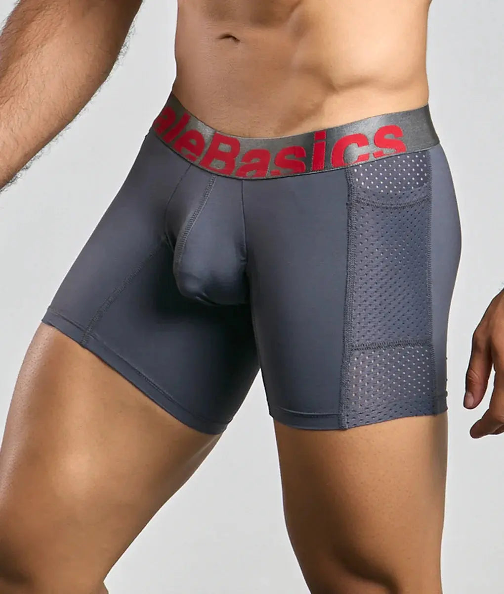 MaleBasics Titanium Pocket Boxer Brief Malebasics