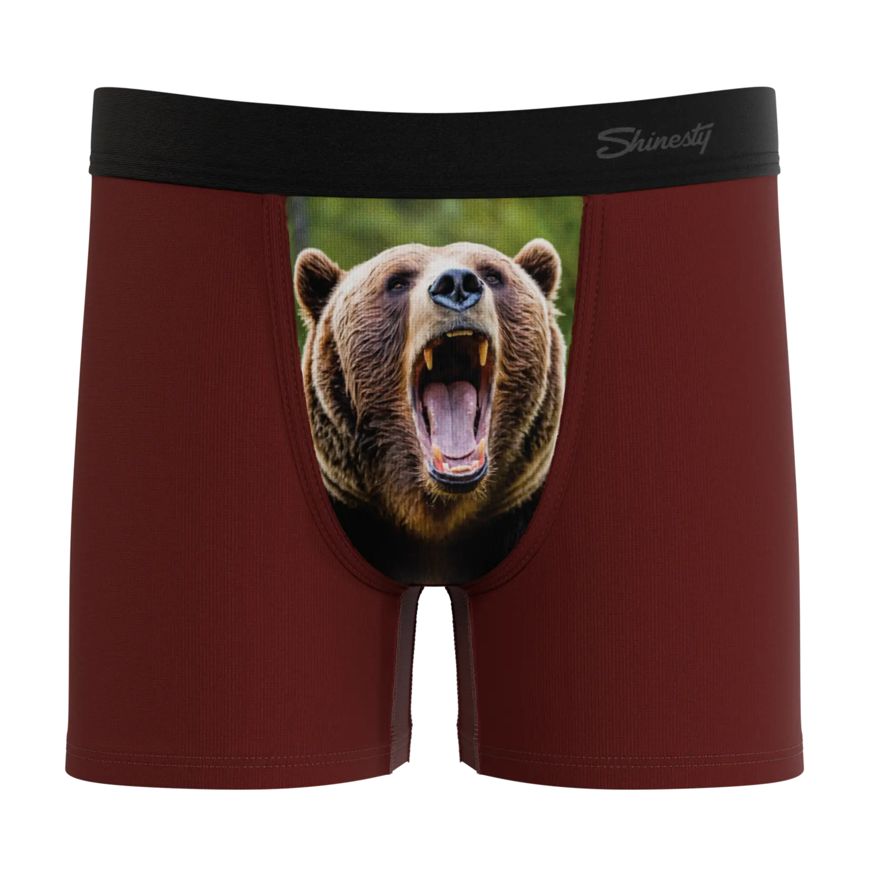 The Scare Bear | Grizzly Bear Boy's Boxer Briefs Shinesty