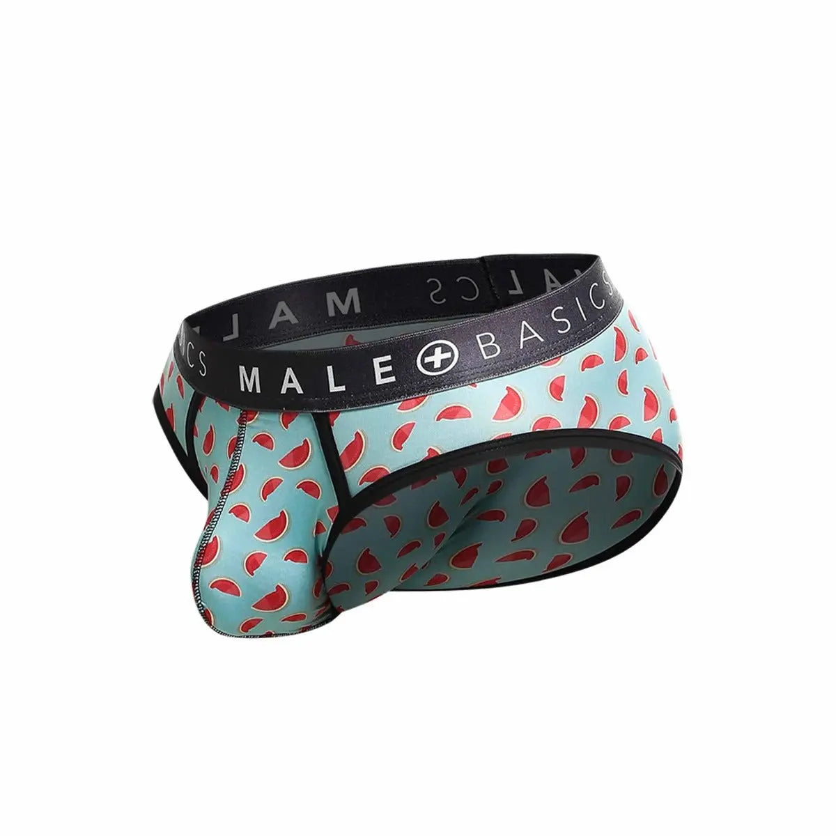 Malebasics Brief Sexy Pouch Final Sale Malebasics