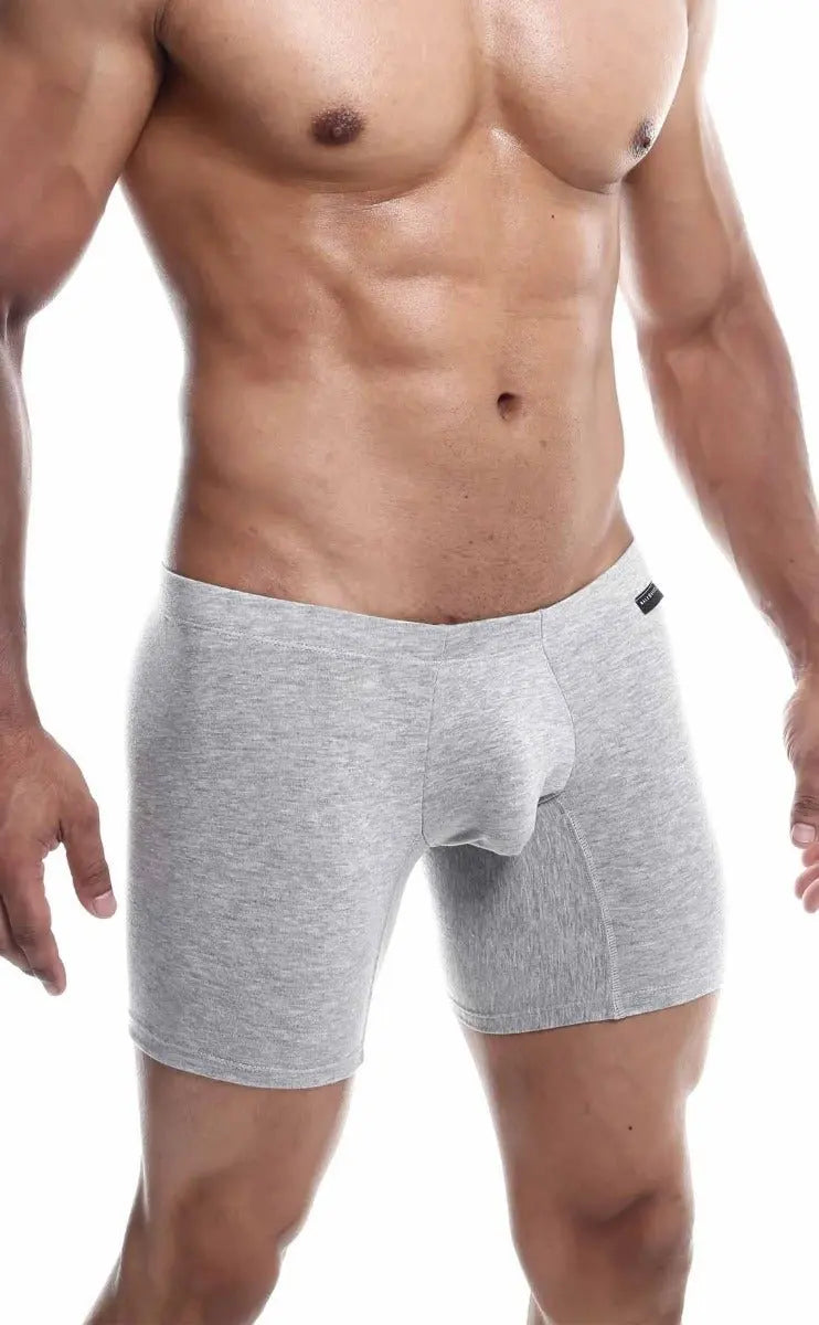 MaleBasics Silver + Boxer Brief Malebasics