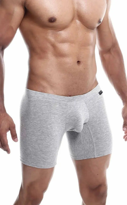 MaleBasics Silver + Boxer Brief Malebasics
