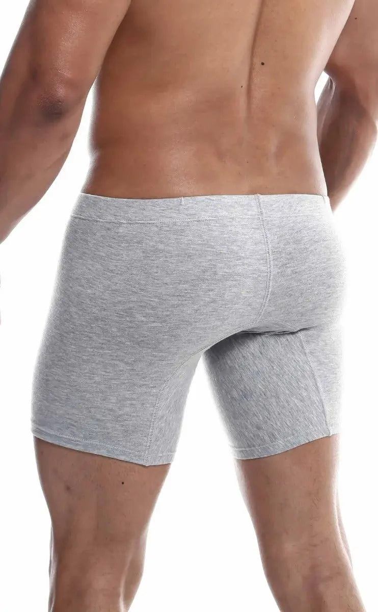 MaleBasics Silver + Boxer Brief Malebasics