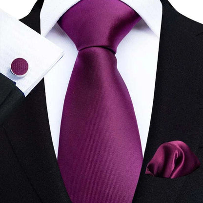 Elegant Paisley Men's Tie Set